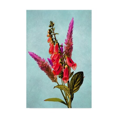 Trademark Fine Art Ata Alishahi 'Color Leaves B' Canvas Art, 30x47 ALI22521-C3047GG
